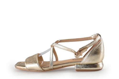 Omoda Sandalen in maat 36 Goud | 5% extra korting, Kleding | Dames, Schoenen, Overige kleuren, Zo goed als nieuw, Sandalen of Muiltjes