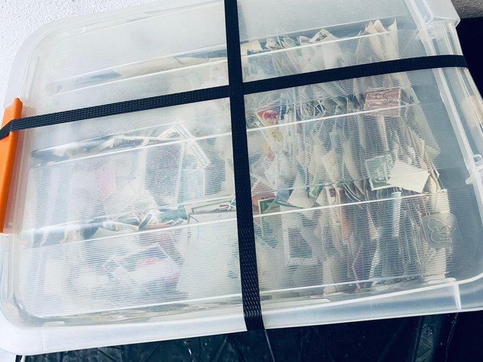 Wereld - Grote Partij postzegels LOS in Plasticbox gewicht, Postzegels en Munten, Postzegels | Amerika