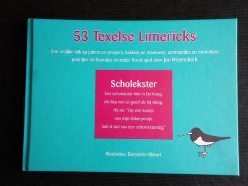 53 Texelse Limericks 9789070133382 Jan Heemskerk, Boeken, Overige Boeken, Zo goed als nieuw, Verzenden