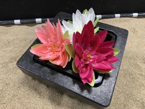 Osaka vijverplanten drijfring + plastic mand 19x19cm, Tuin en Terras, Vijvers, Nieuw, Ophalen of Verzenden