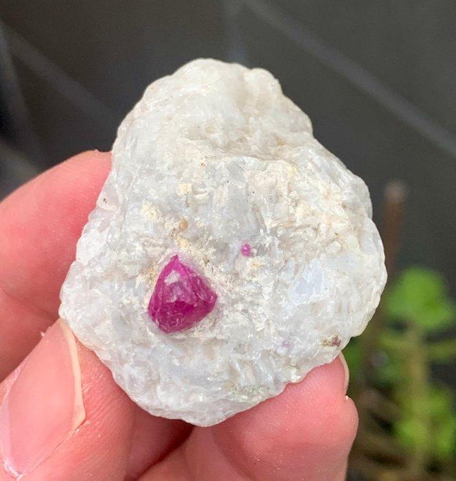 Aucun prix de réserve pour la collection de deux minéraux :, Collections, Minéraux & Fossiles