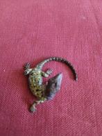 Beeldje - Koud geverfd brons, Antiek en Kunst