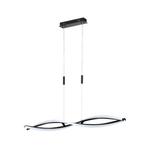 Fischer & Honsel - Hangende plafondlamp - Torcido - Zwart -