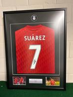 Liverpool - Europese voetbal competitie - Luis Suarez -, Verzamelen, Nieuw