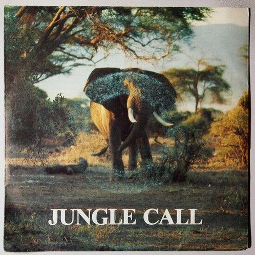 Yvan Guilini - Jungle call - Single, CD & DVD, Vinyles Singles, Single, Pop