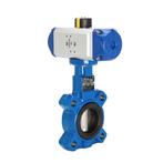 DN50 (2 inch) Lug Pneumatische Vlinderklep GGG40-GGG40, Verzenden, Nieuw