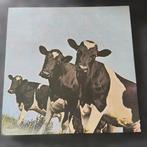 Pink Floyd - Atom Heart Mother - Disque vinyle - Pressage, CD & DVD