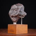 Campo Del Cielo - Meteoriet - 2,3 kg - Hoogte: 164 mm -, Nieuw