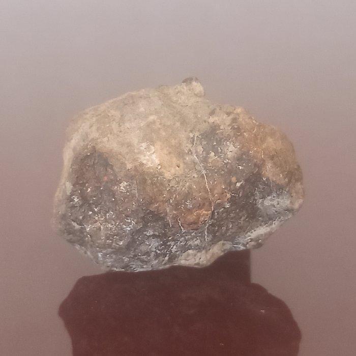Collectie Triple Energie Meteoriet/Fulguriet/Agnimanitita., Verzamelen, Mineralen en Fossielen