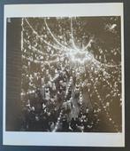 Robert Doisneau - Le bal, 1960, Antiek en Kunst, Kunst | Schilderijen | Modern