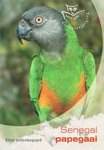 Senegal Papegaai / Basisgids dierenverzorging 9789058411341, Boeken, Verzenden, Gelezen, E. Uittenbogaard