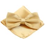 Fako Fashion® - Vlinderstrik Met Pochette - Vlinderdas -, Kleding | Heren, Verzenden, Nieuw