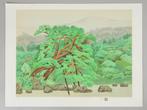 Garden of Tenryu-ji  - Murayama Kei  - Japan (Zonder