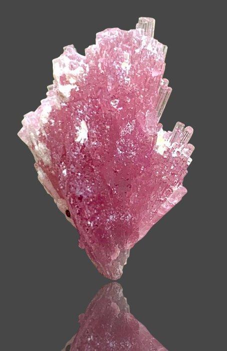 Toermalijn Mooie Felroze Kleur Bosje Kristallen, Verzamelen, Mineralen en Fossielen