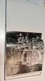 Publio Virgilio Marone; Ortensio Zecchino - Georgiche -