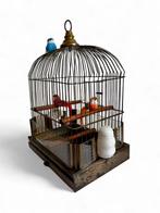 Antiek Vogelkooi - Glas, Messing - 1870s H42xW31cm, Antiek en Kunst