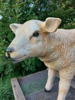 Statue, life size and a lifelike (Texel lamb) - 43 cm -