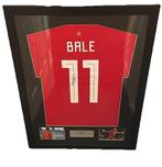 Wales - Wereldkampioenschap Voetbal - Garthe Bale -, Nieuw