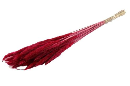 Fluffy Pampas 70gr 75-80cm Cerise Pampas gras in hoes, Hobby en Vrije tijd, Knutselen, Nieuw