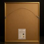 Argentina - FIFA World Cup - Diego Maradona - Voetbalshirt, Nieuw