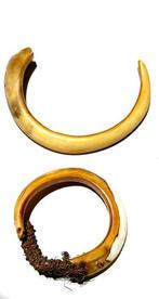 Set van twee neusstukken - Highlands - Sterrengebergte -, Antiek en Kunst