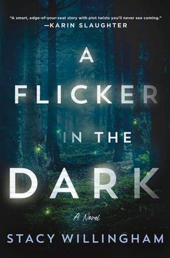 A Flicker in the Dark 9781250803825 Stacy Willingham, Boeken, Taal | Engels, Zo goed als nieuw, Verzenden