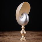 Parelmoeren Nautilus gemonteerd op een decoratieve messing
