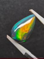 3.34ct Zwarte Opaal Cabochon - Hoogte: 14.8 mm - Breedte: