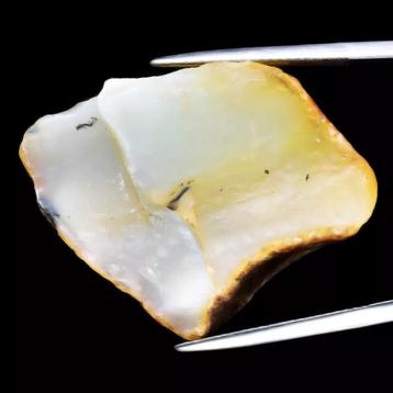 Natural Yellow Opal - 52.58 ct - Rough Gemstone - unheated - disponible aux enchères