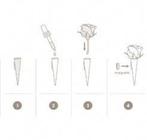 Corsagehouder Boutonnière Flowerdarte Goud doos 10 stuks, Hobby en Vrije tijd, Nieuw