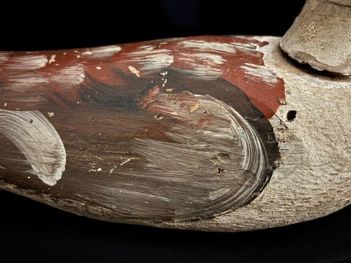 Lokeend - Raro richiamo anatra depoca ca. 1890–1925 –, Antiek en Kunst, Curiosa en Brocante