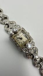 Armband Platina Diamant (Natuurlijk), Nieuw