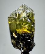 Tourmaline) Kristal - Hoogte: 18 mm - Breedte: 9 mm- 2.92 g, Verzamelen, Mineralen en Fossielen