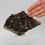 GROSSI Cristaux de sidérite croisés, Toscane Cristaux sur, Verzamelen