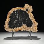 Wonderlijk sneetje versteend hout op een op maat gemaakte