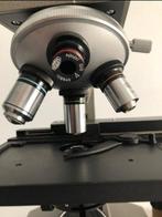 compound lichtmicroscoop - Olympus CHC - 1970-1980 - Japan -