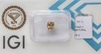 Zonder Minimumprijs - 1 pcs Diamant (Natuurlijk gekleurd) -, Nieuw