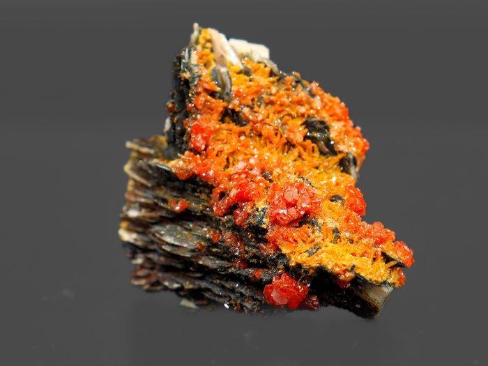 Luxe Rode Lava Vanadinite op sculpturale goethietmatrix -, Verzamelen, Mineralen en Fossielen