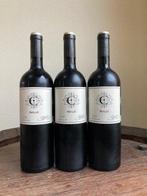 2019 Copel Wines. Pauillac - Bordeaux - 3 Flessen (0.75, Collections