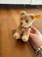 Steiff - Speelgoed Steiff Jungbär 1950 Selten Unbespielt -