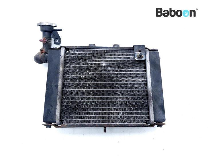 Radiateur Kymco Grand Dink 125 2008-2014, Motoren, Onderdelen | Overige, Verzenden