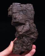 (Classique espagnol) Goethite pseudomorphe de pyrite -, Collections