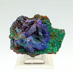 GROTE PSEUDOMORFOSIS van AZUURRITE in MALACHITE, Zeer