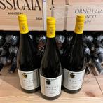2024 San Leonardo, Sauvignon Blanc Vette - Trentino IGT -, Nieuw