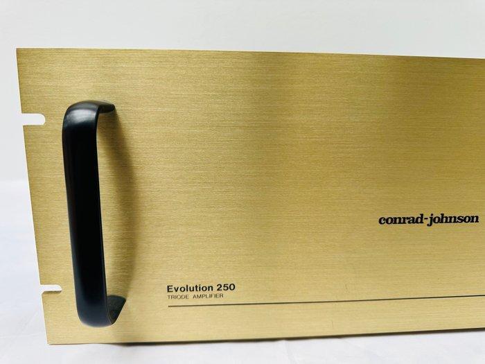 Conrad Johnson - EV250 Buizen eindversterker, TV, Hi-fi & Vidéo, Radios