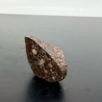 Exclusief!!!! NWA 13573. De eerste ter wereld