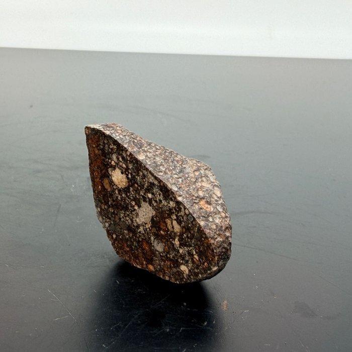 Exclusief!!!! NWA 13573. De eerste ter wereld, Verzamelen, Mineralen en Fossielen