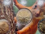 Finland. 2 Euro 2009 Squirrel (7 monedas) (Zonder