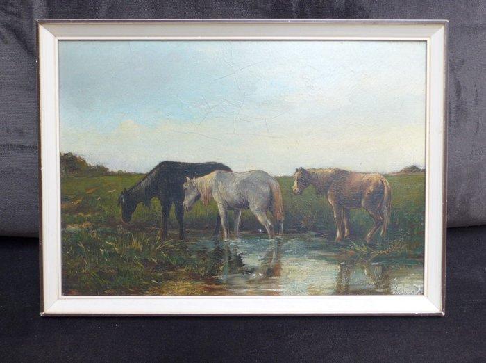 Nederlandse school (XIX) - Drie paarden bij een poel, Antiek en Kunst, Kunst | Schilderijen | Klassiek