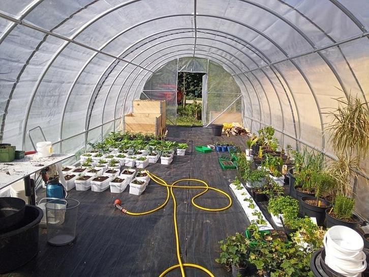 Tunnelserres met witte folie 4 jaar UV Garantie !!!! Kas, Tuin en Terras, Kassen, Nieuw, Kweekkas